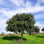 Whatsapp Image 2023 09 18 At 20.09.18