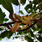 Whatsapp Image 2023 09 18 At 20.10.23