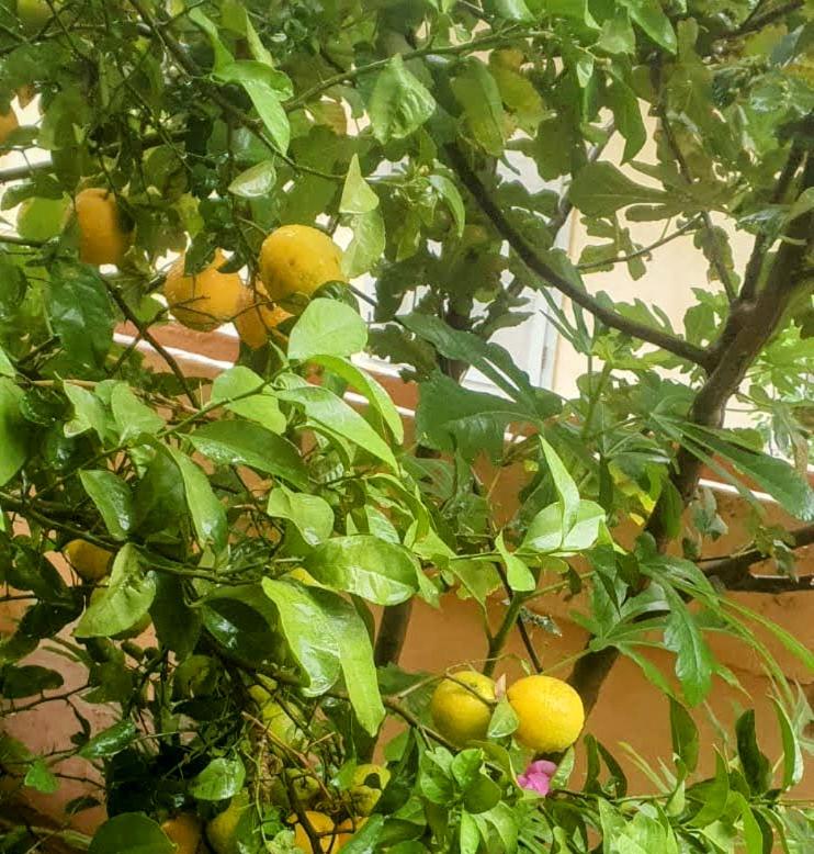 Whatsapp Image 2023 09 18 At 22.34.45(1)