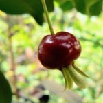 Whatsapp Image 2023 09 19 At 22.34.33