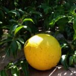 Whatsapp Image 2023 09 19 At 22.52.25