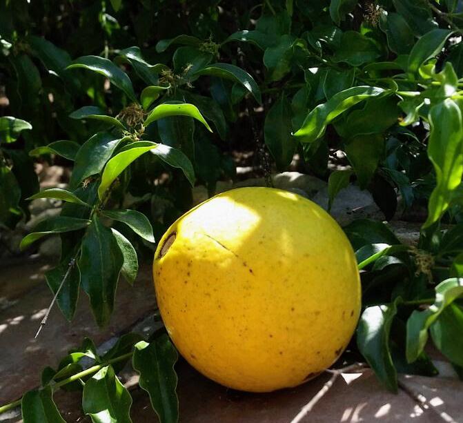 Whatsapp Image 2023 09 19 At 22.52.25