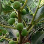 Whatsapp Image 2023 09 20 At 12.50.53