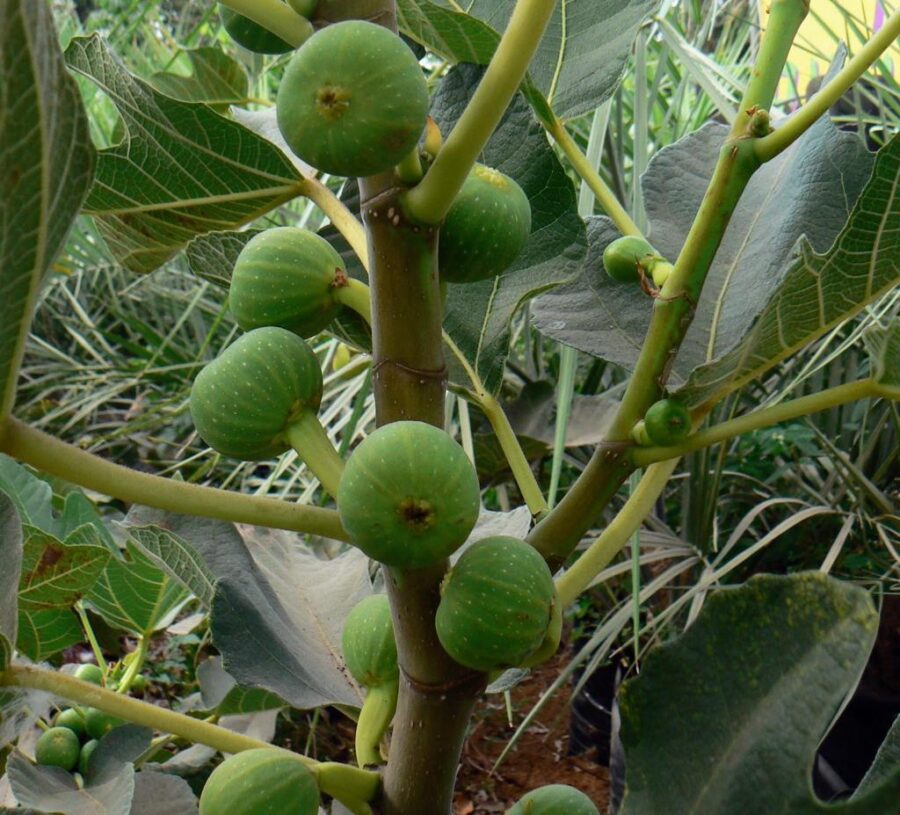 Whatsapp Image 2023 09 20 At 12.50.53