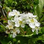 Whatsapp Image 2023 09 23 At 13.40.03