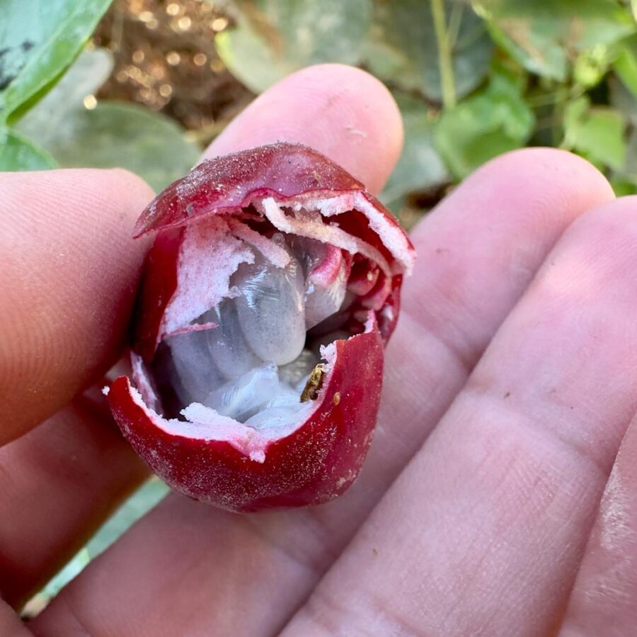 Whatsapp Image 2023 09 24 At 18.35.32