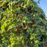 Whatsapp Image 2023 09 24 At 18.36.53