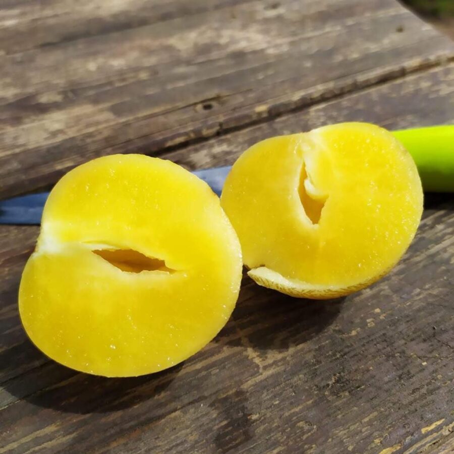 Whatsapp Image 2023 09 25 At 21.02.53