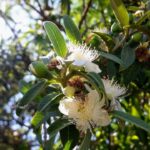 Whatsapp Image 2023 09 25 At 22.20.48(1)