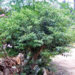 Whatsapp Image 2023 09 25 At 22.24.23