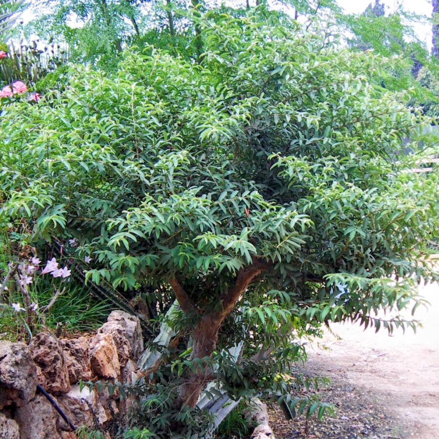 Whatsapp Image 2023 09 25 At 22.24.23