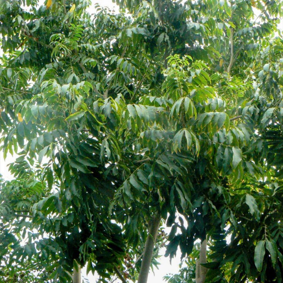 Whatsapp Image 2023 09 26 At 15.04.34