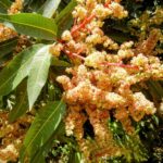 Whatsapp Image 2023 09 27 At 13.27.42