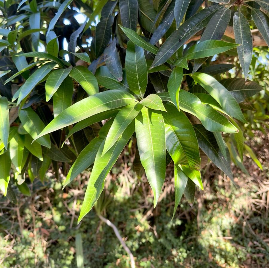 Whatsapp Image 2023 09 27 At 18.19.44