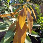 Whatsapp Image 2023 09 27 At 18.22.25