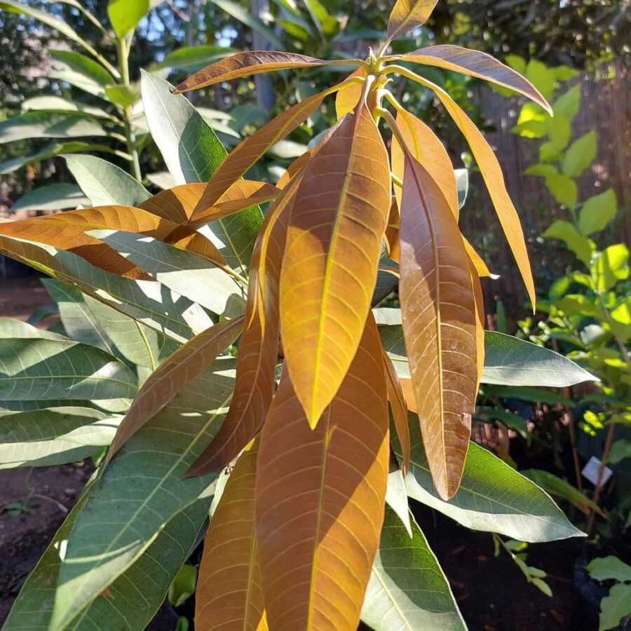 Whatsapp Image 2023 09 27 At 18.22.25