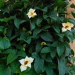 Whatsapp Image 2023 09 27 At 20.05.04