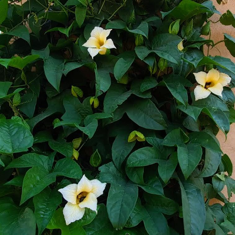 Whatsapp Image 2023 09 27 At 20.05.04