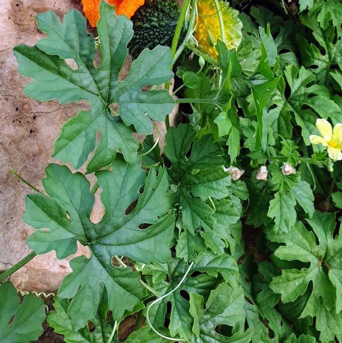 Whatsapp Image 2023 09 30 At 09.33.40