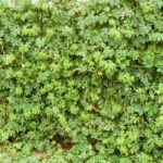 Whatsapp Image 2023 09 30 At 09.38.08