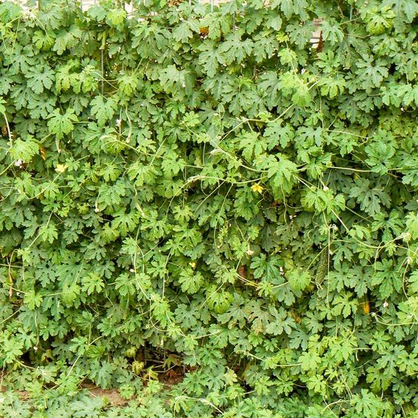 Whatsapp Image 2023 09 30 At 09.38.08