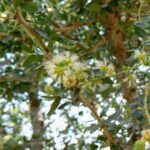 Whatsapp Image 2023 09 30 At 12.53.21