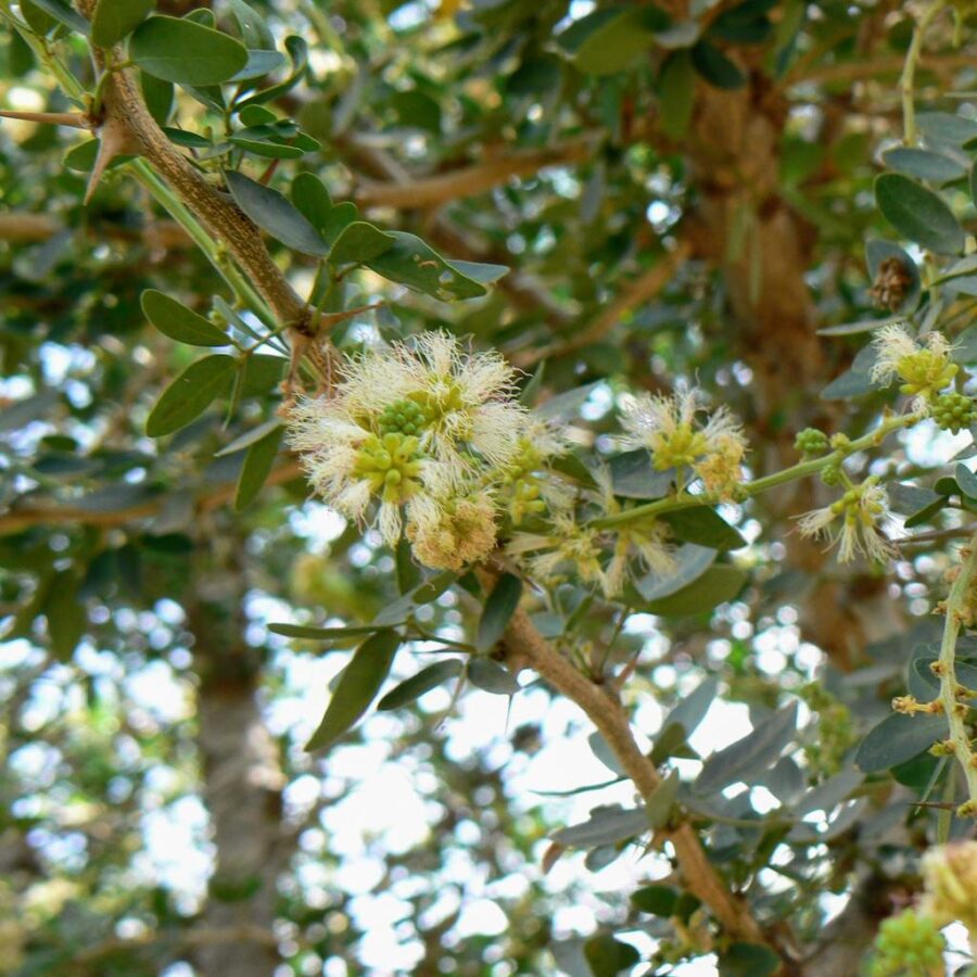 Whatsapp Image 2023 09 30 At 12.53.21