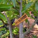 Whatsapp Image 2023 09 30 At 13.19.20