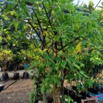 Whatsapp Image 2023 09 30 At 13.24.42