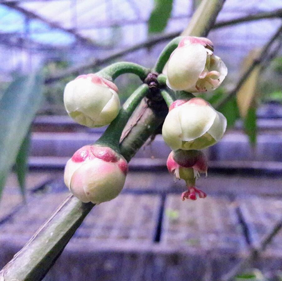 Whatsapp Image 2023 09 30 At 19.24.01