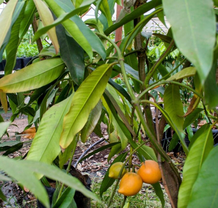 Whatsapp Image 2023 09 30 At 19.30.07