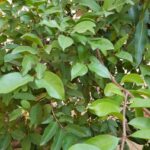 Whatsapp Image 2023 10 02 At 19.52.39