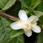 Whatsapp Image 2023 10 02 At 19.56.41