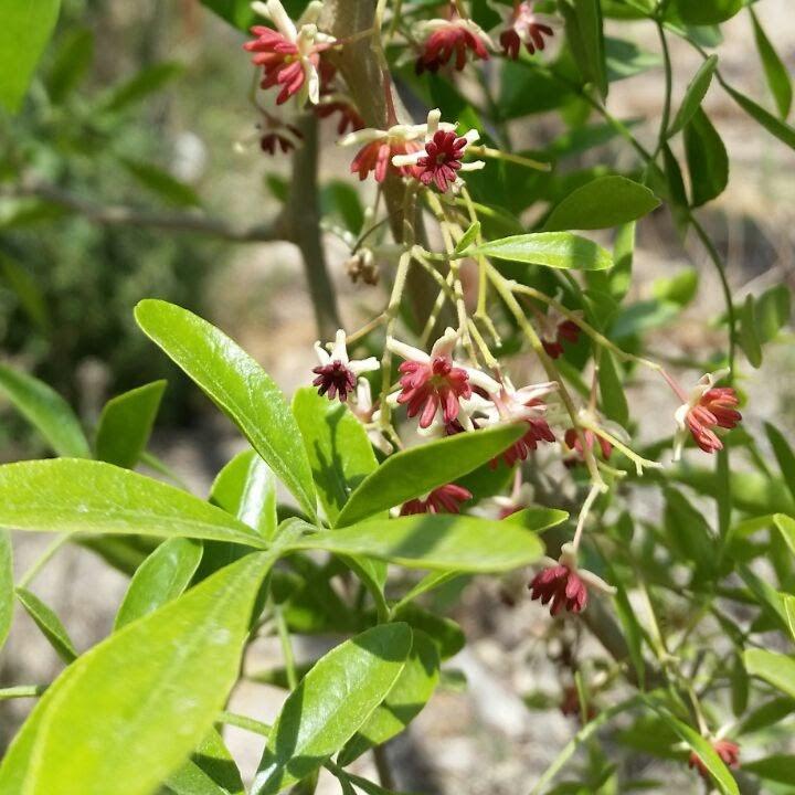 Whatsapp Image 2023 10 04 At 18.34.12