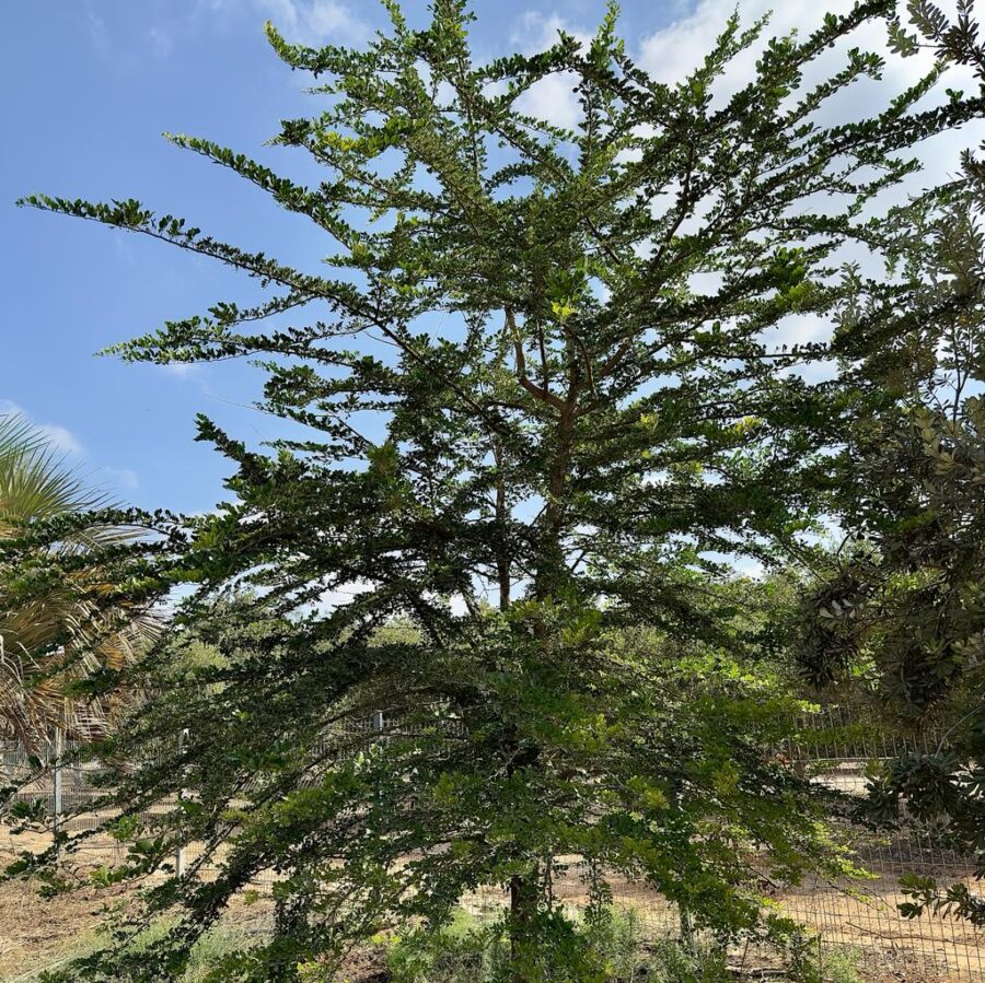 Whatsapp Image 2023 10 04 At 18.40.53