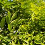 Whatsapp Image 2023 10 16 At 11.05.12