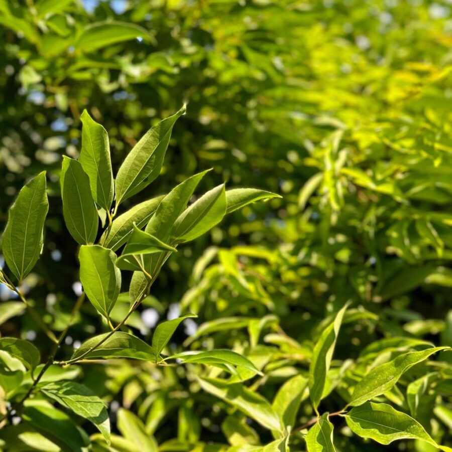 Whatsapp Image 2023 10 16 At 11.05.12