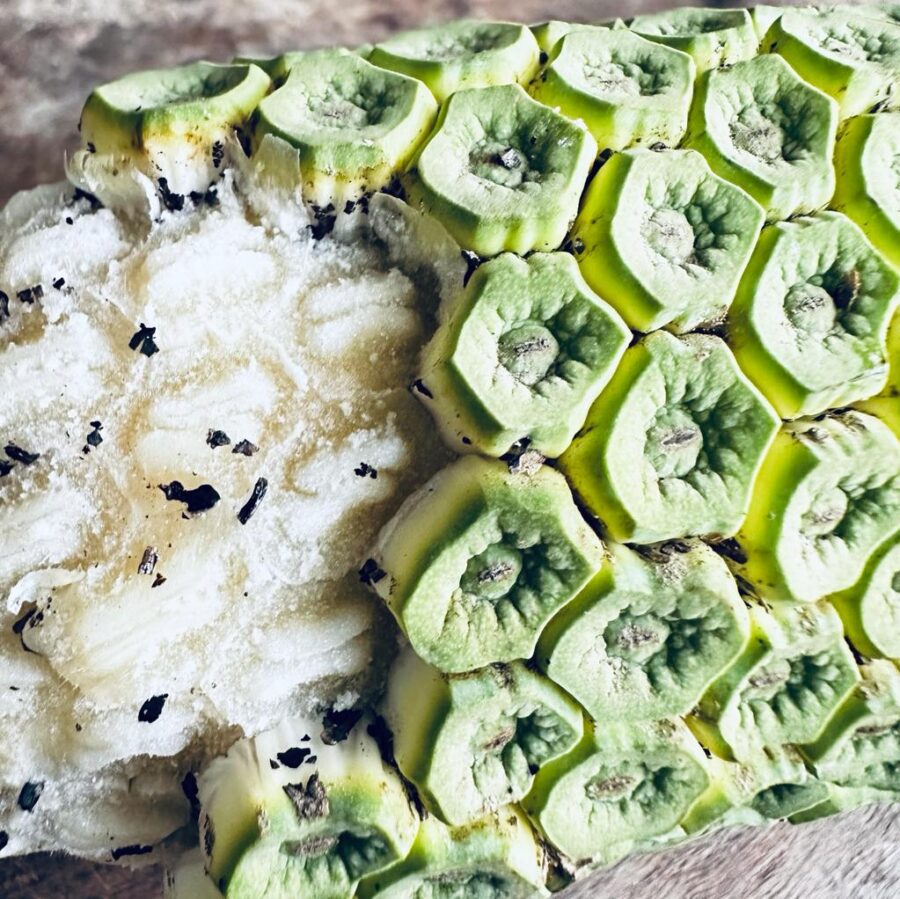 מונסטרה נאכלת