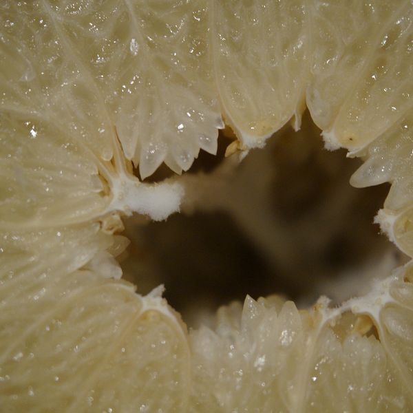 Citrus maxima פרי של פומלה לבנה (גוליית)