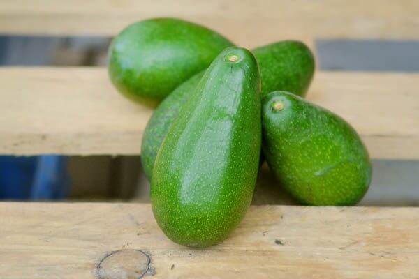 אבוקדו אטינגר פרי