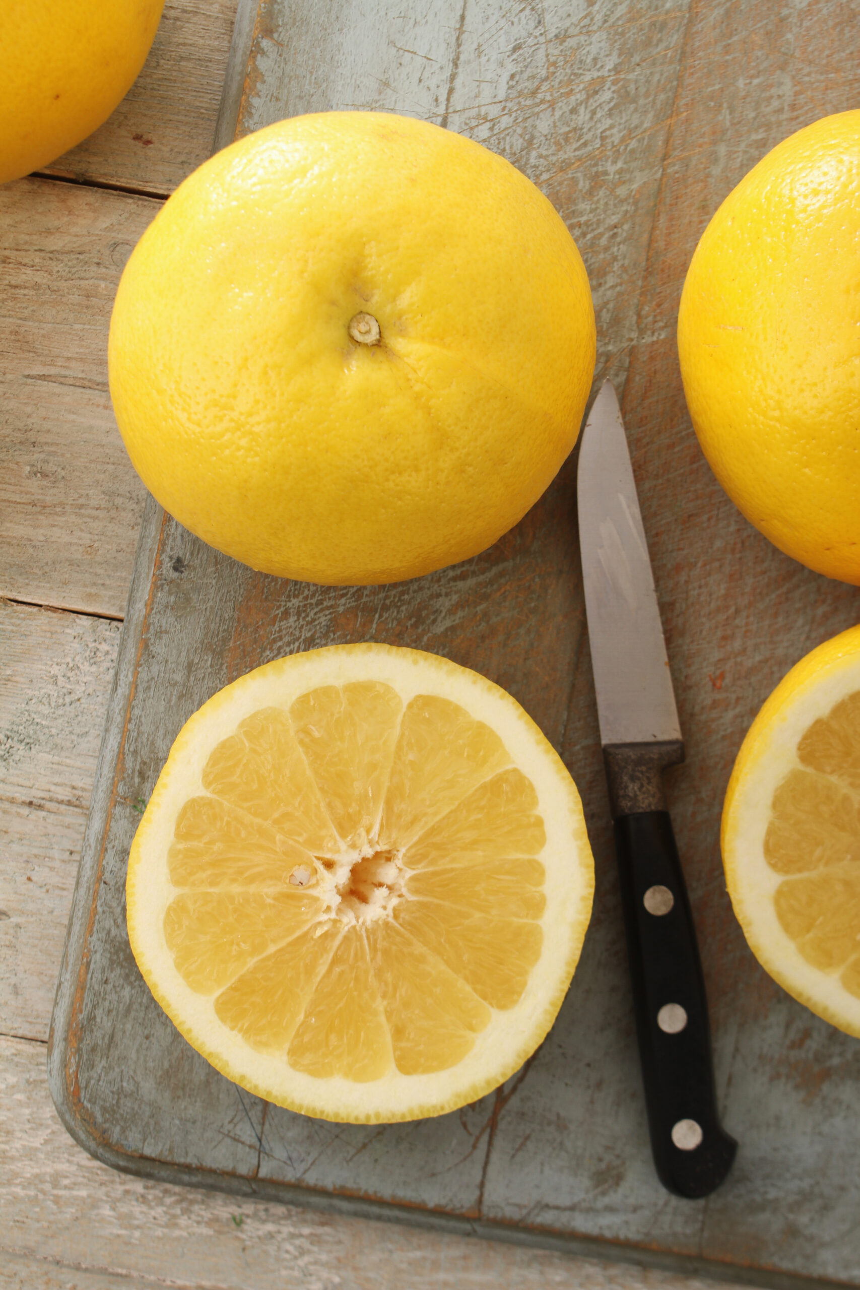 אשכולית לבנה white grapefruit fruit