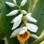 מאי 2011 045 Scaled 1.jpg