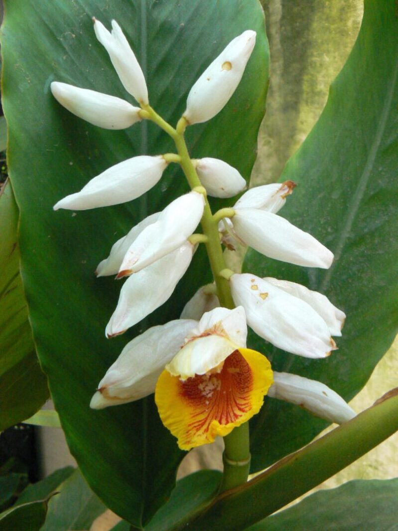 מאי 2011 045 Scaled 1.jpg