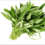 תרד תאילנדי (תרד מים)