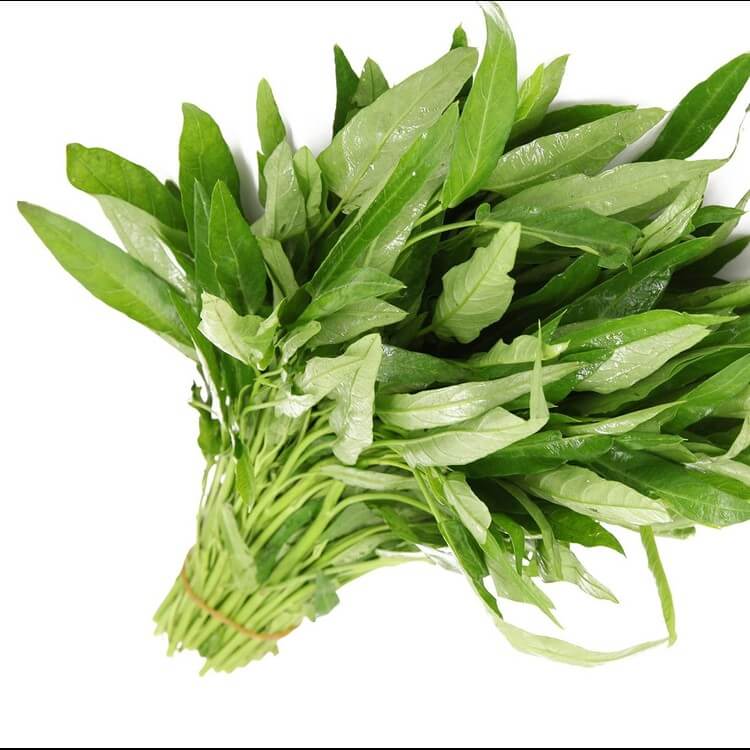 תרד תאילנדי (תרד מים)