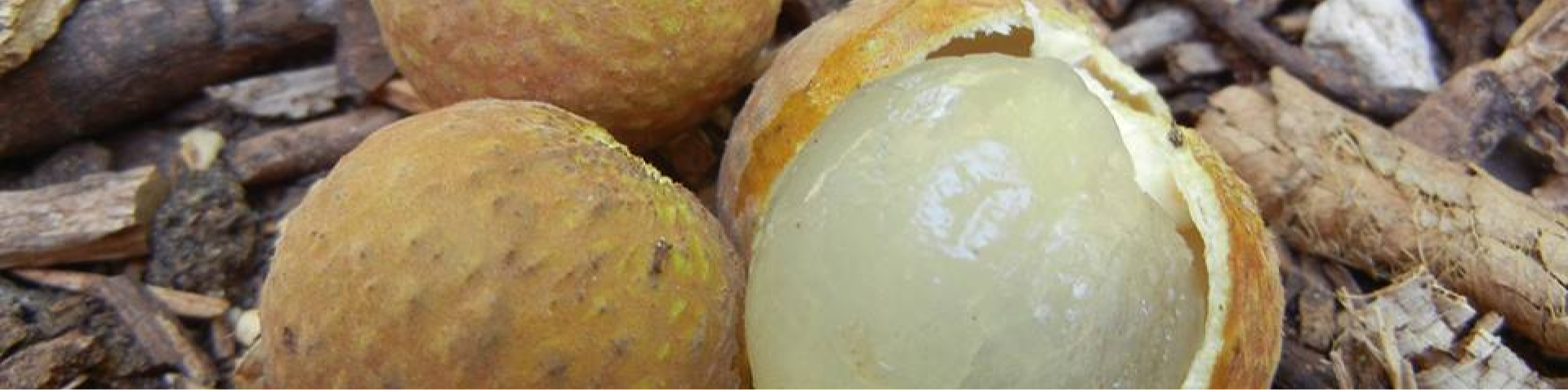 יעוץ והדרכה