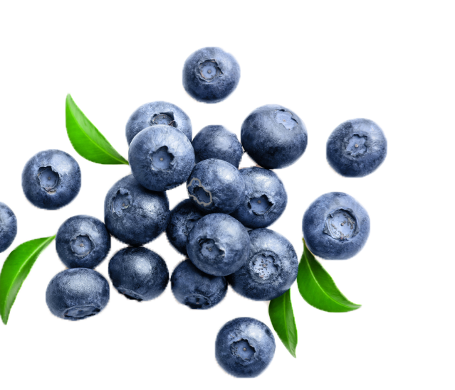 דיני כשרות בעצי פרי - אתם כשרים?