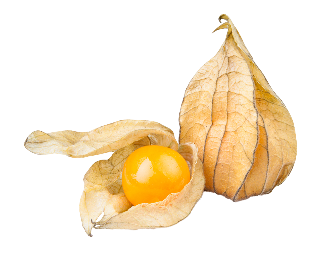 מתכונים מהגינה