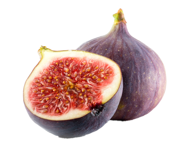 בואו נכיר קצת יותר טוב