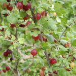 Shutterstock 1622831644 Edited